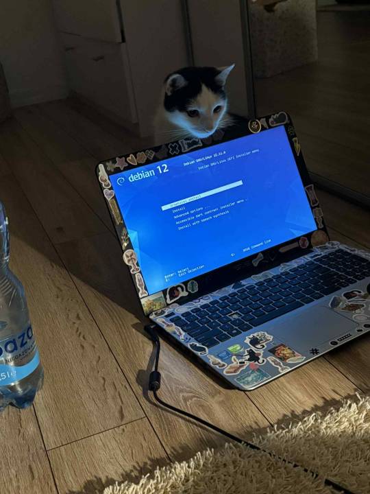 Tumblr media