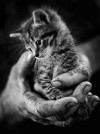 tumblr photo prettycocokitty 11