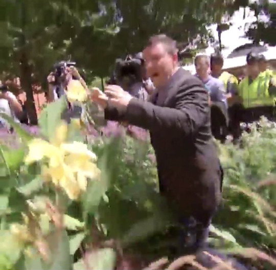 swagintherain:   this video is hilarious. watching him literally cower in fear in the bushes as he’s chased by dozens of people made my day   