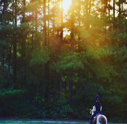 Blessed are the curious, for they shall find adventure