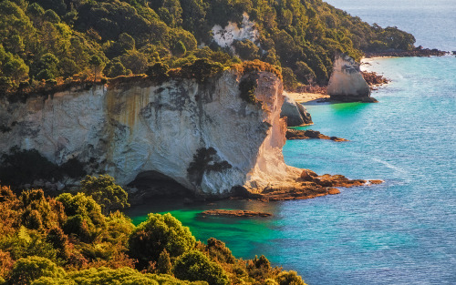 Cliffs at Cathedral Cove, Coromandel Peninsula, New Zealand