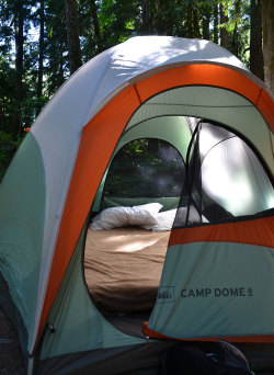 tango-mango:  The laundry’s done and the tent and other equipment have been put away, but I can’t stop wishing we were still camping on the upper Clackamas River. We have a favorite campground, and there’s only one sweet campsite right on the river.