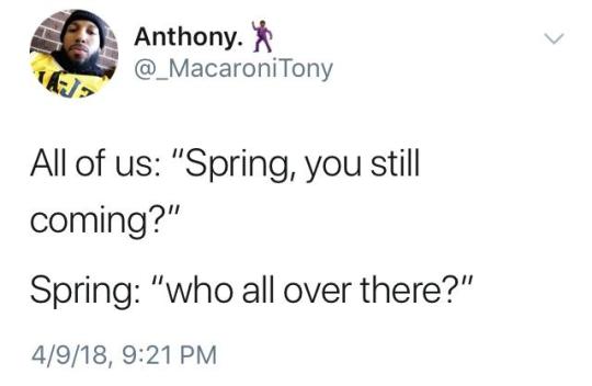 black–twitter:  