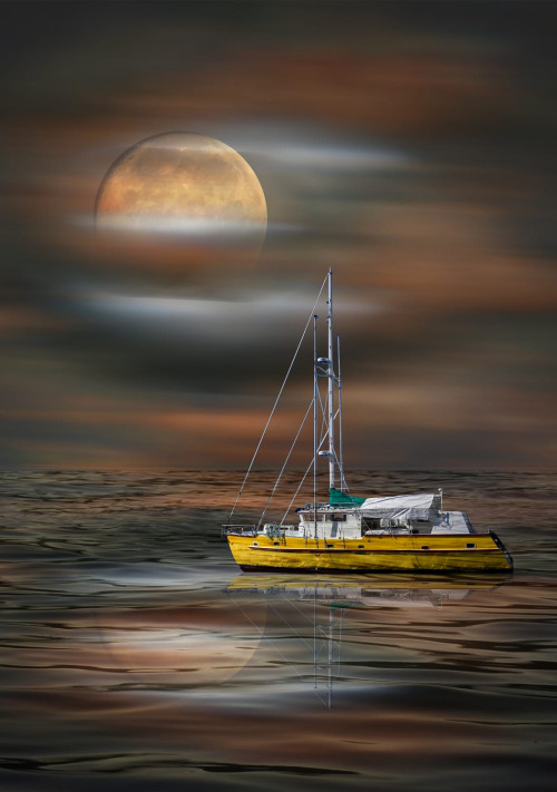 coiour-my-world: by peter holme iii