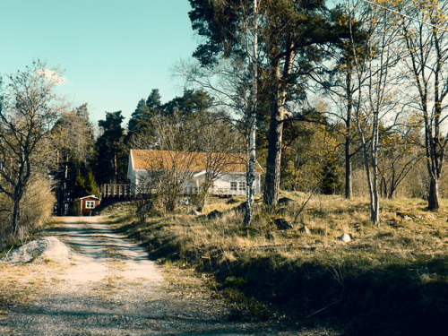 Rural Sweden. adult photos