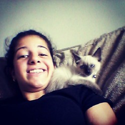 Dudu me amando #little #cat #loving #me #cute #instacat #smile #follow4follow #like4like #followme