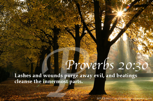 &ldquo;Lashes and wounds purge away evil, and beatings cleanse the innermost parts.&rdquo; - Proverb
