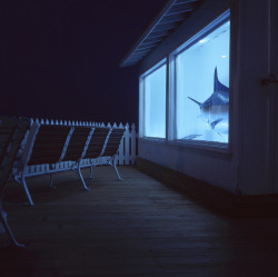 untrustyou:  Patrick Joust - outside in