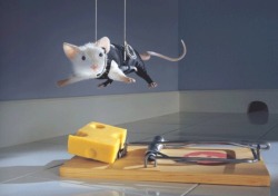 animal-factbook:  Although many humans think that mouse traps work efficiently, mice have many other clever ways to steal the cheese. This practice is sometimes applied to stealing jewelry or art too.