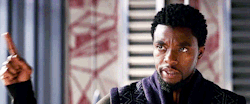 captainpoe:T’challa/Black Panther in Avengers Infinity War