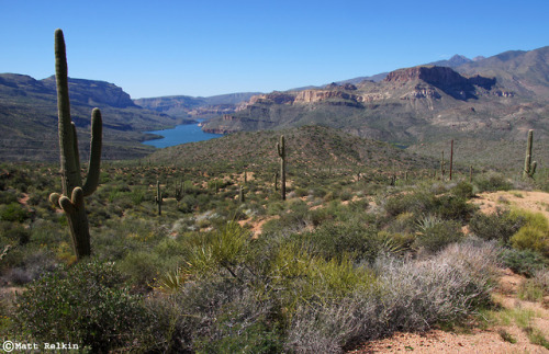 nolonelyroads: Sonoran Desert Landscape, Apache Lake, AZ