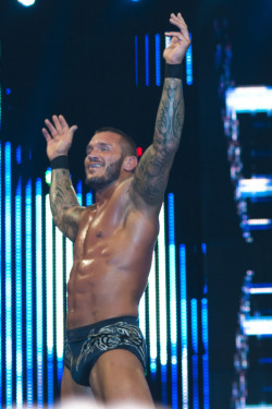 Everything about Randy Orton is Perfect!