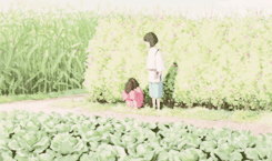  haku &amp; chihiro  