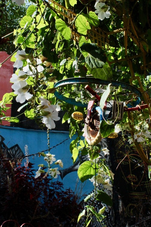 Snapshots of beautiful Havana, Cuba, this summer | shot on my Canon 1200D