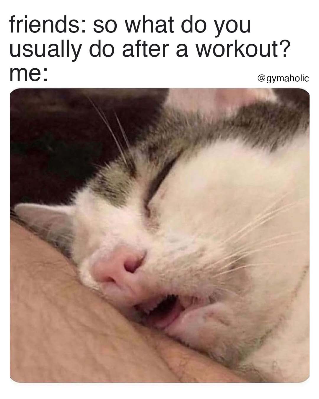 friends: so what do you usually do after a workout?