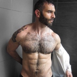 hairyhotman:  http://hairyhotman.tumblr.com/