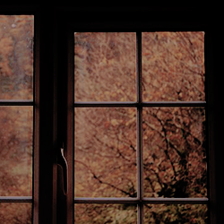 moodb0ards:  fall moodboard