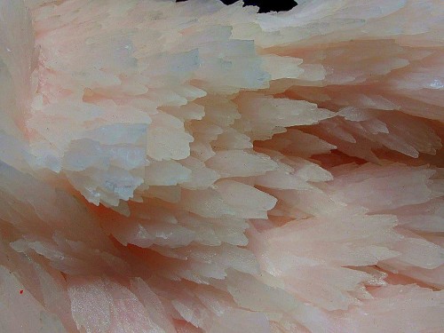 underthescopemin:  Pink Mn. Calcite Crystal Cluster