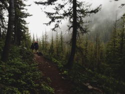 kirarayne:  summer hikes in the rain 