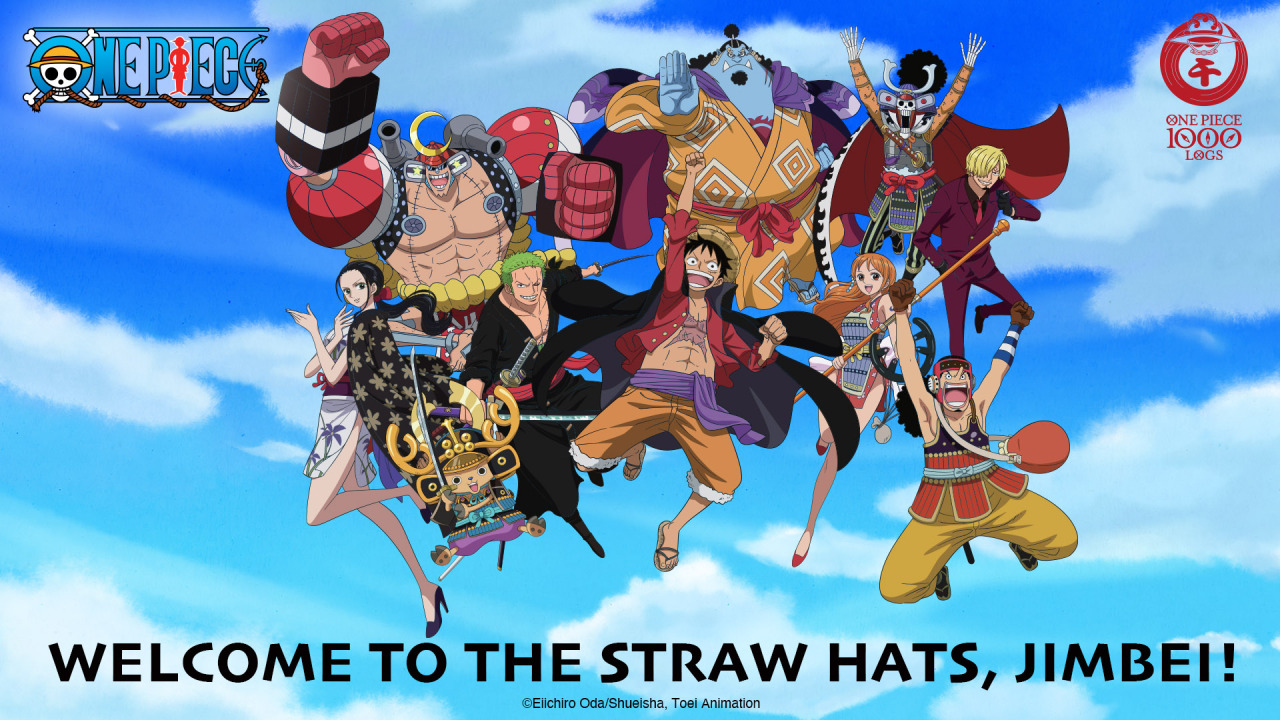 Straw Hat Pirates From Toei Animation Website