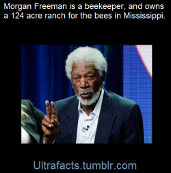 ultrafacts:    Morgan Freeman has such a