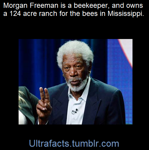 Sex ultrafacts:    Morgan Freeman has such a pictures