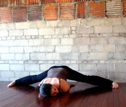flex-yoga-girls:Yoga Girl