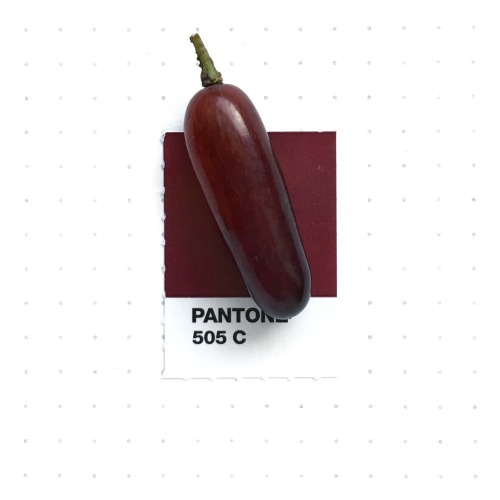 Pantone 505 color match. Tear Drop Grape! When I saw them at a grocery store near my house, I knew I