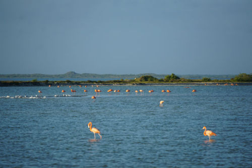 El Cuyo - on the way to Holbox Island. A really beautiful place. We free camped in between a lagoon 