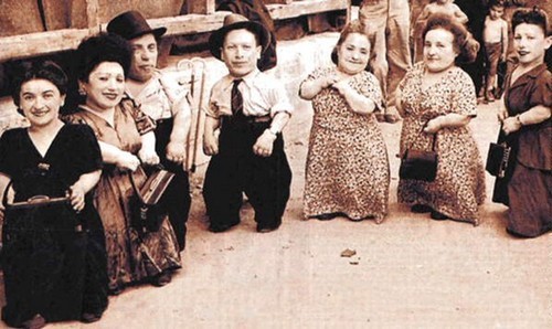 The Experiments in Auschwitz