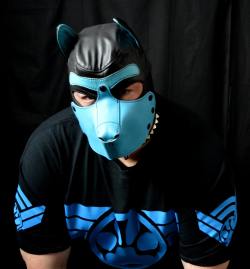 bearconcentrate:  Love these handsome pups… Cred to @moody-bear‘s great photography…Get the shirts here: http://themoodybear.com/k9-paws.htmlThe custom leather pup hoods here: http://glink.me/customhood 