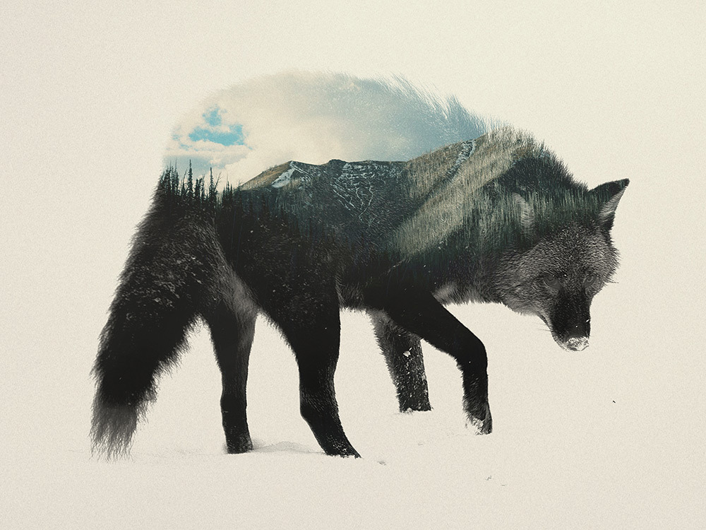 foxmouth:  Double Exposures, 2014 | by Andreas Lie 