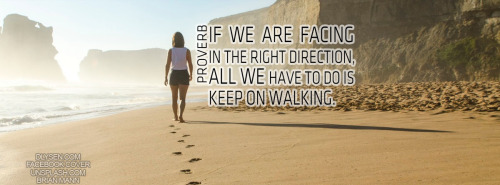 dlysen: If we are facing in the right direction, all we have to do is to keep on walking. If we a