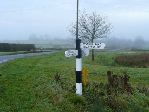 Signpost in the mist, Semley Common