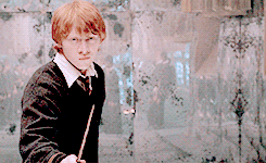 harrypottergif:  Harry Potter meme  [10] Characters - Ronald Weasley  