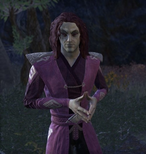 frostfallarcher: ESO Elves I LOVEPart Three “I’m a natural disaster masquerading as