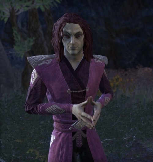 frostfallarcher:ESO Elves I LOVEPart Three “I’m a natural disaster masquerading as a person.” Revus 