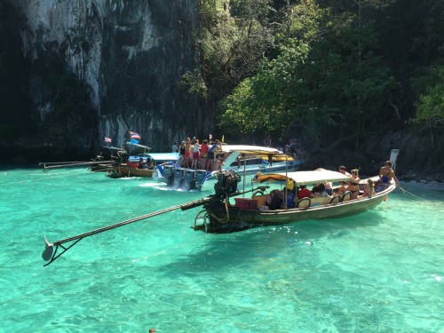 batbyrne:Thai Long-tails, Phi Phi Island