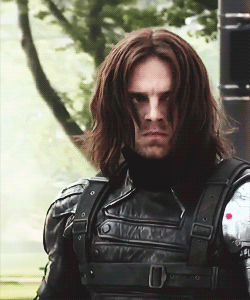 Your Bucky