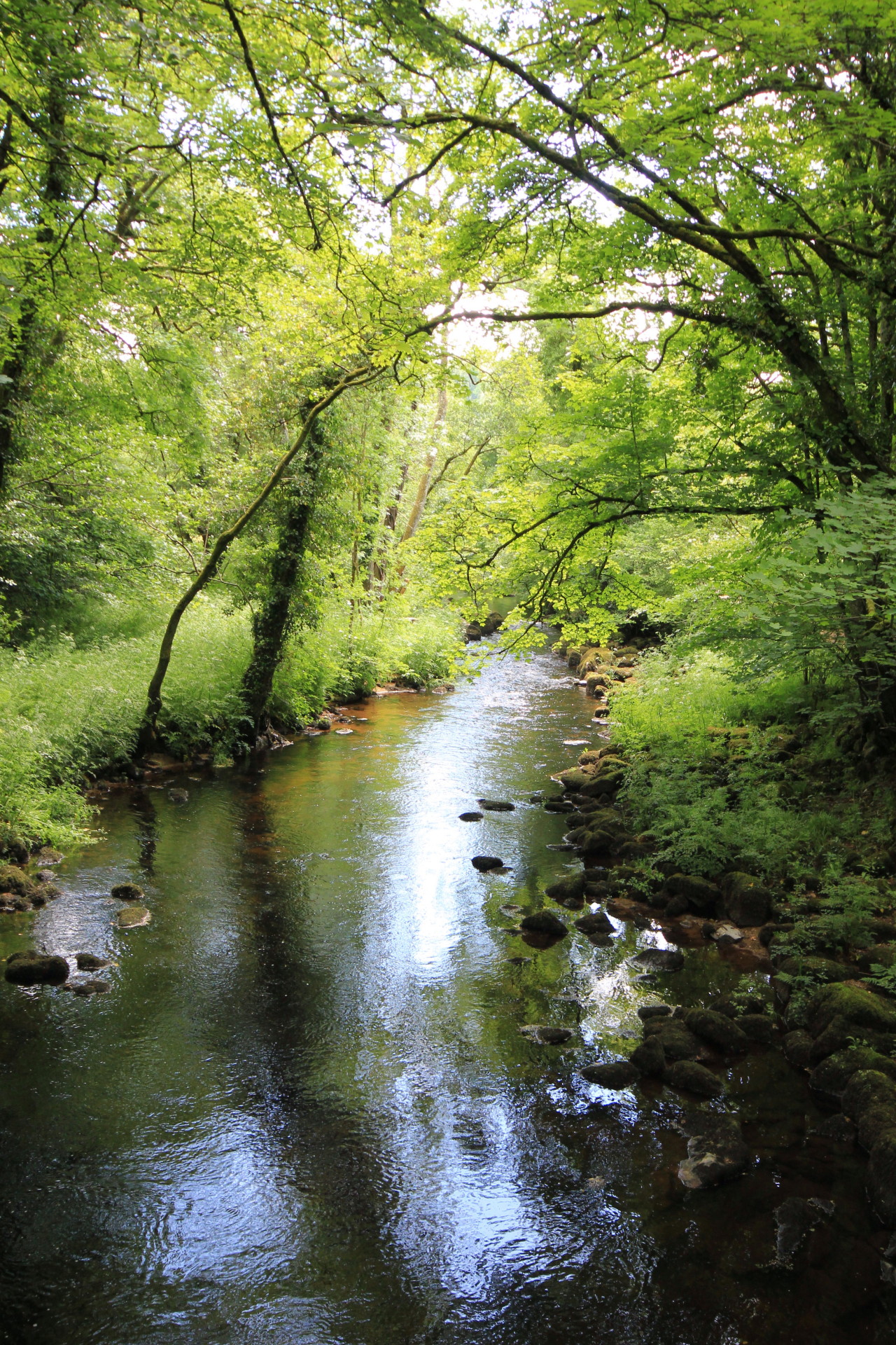 theencompassingworld:  stephenearp:  From a bridge   The World Around Us