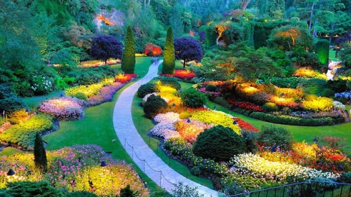 gaypurgatory:sixpenceee:Butchart Gardens, Vancouver Island in CanadaI GET TO GO THERE & see this