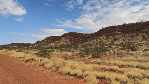 2022: Cuestas of Carmichael Sandstone lining Larapinta Drive, part of the infamous Mereenie Loop. Th