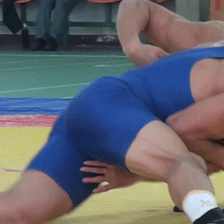 kensprof: A Legal Wrestling Move.  (Close-up for instructional purposes)