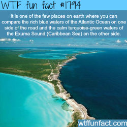 wtf-fun-factss:  Where the Caribbean sea