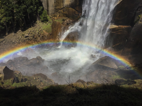 Vernal Falls raging with a rainbow.Yosemite National Park, CA. April 2016