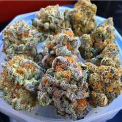 legalize-stoner:  Time to legalize! Follow