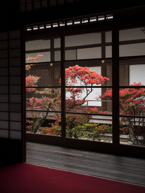 iesuuyr:
Kyoto, Japan | 


	Patrick Vierthaler 