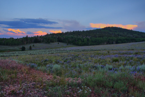 expressions-of-nature: Colorado Twilight by meltedplastic