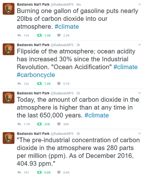 alex51324: runicscribbles: fiftysevenacademics: the-humanfactor: The official Badlands National Park