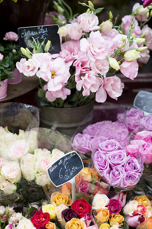 floralls:  (by .natasha.) 
